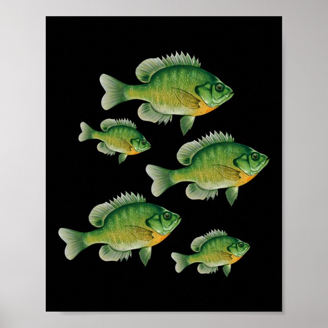Affiche Funny Bluegill Sunfish Fishing Freshwater Fish Ang (Devant)