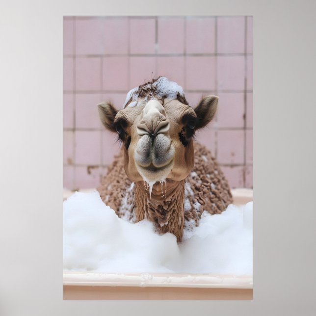 Affiche Funny Camel Bubble Bath Art, Whimsical Animal (Devant)