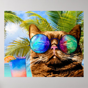 Affiche Funny Cat
