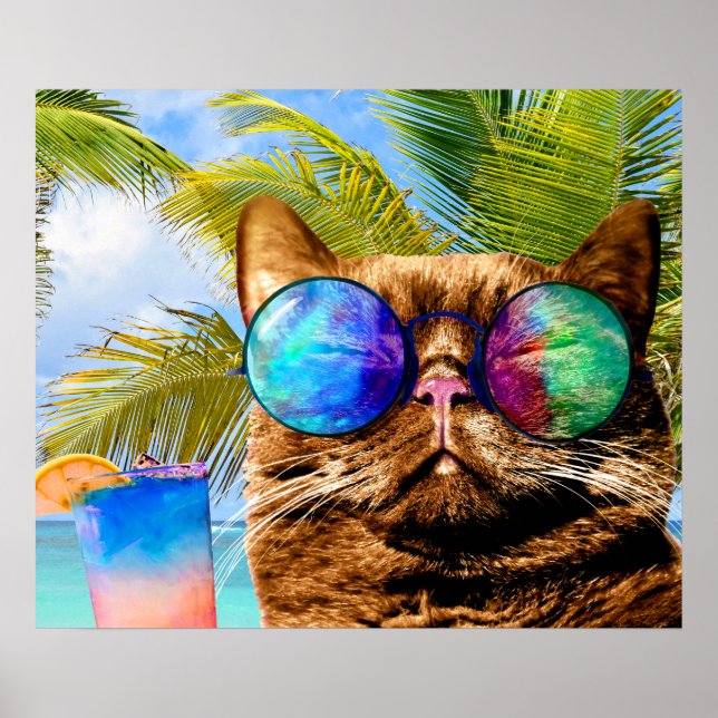 Affiche Funny Cat (Devant)