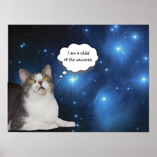 Affiche Funny Cat Star Gazer
