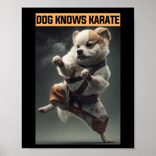 Affiche Funny Chien connaît Karate