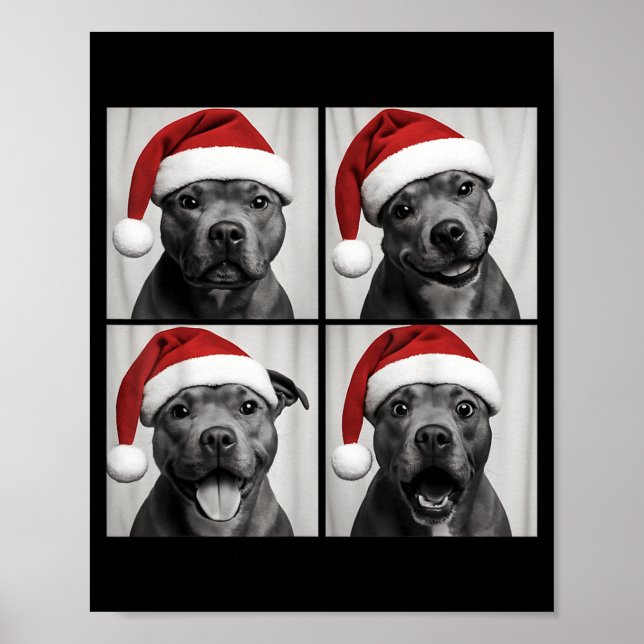 Affiche Funny Christmas Staffordshire Bull Terrier Santa P (Devant)
