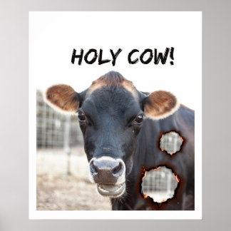 Affiche funny cow wall art