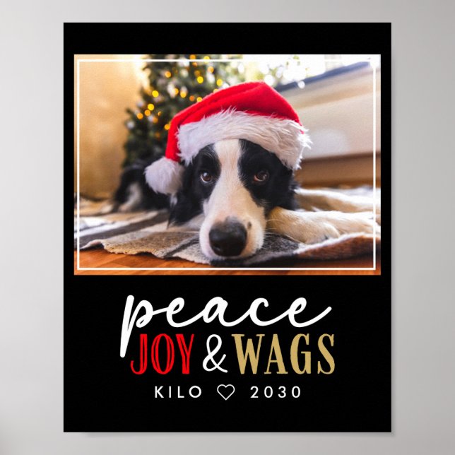 Affiche Funny Dog Lover Christmas Photo Cute D  (Devant)