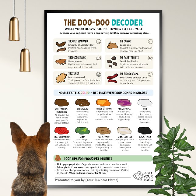 Affiche Funny Dog Poop Wall Chart for Pet Professionals (Créateur téléchargé)