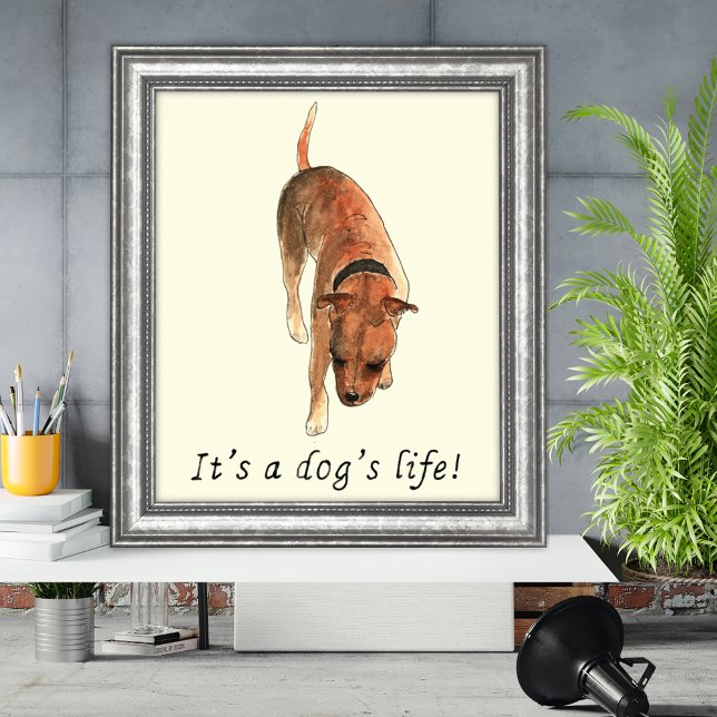 Affiche Funny Dogs life Staffordshire Bull Terrier Art (Its a dogs life quote and watercolor Staffordshire bull terrier poster)