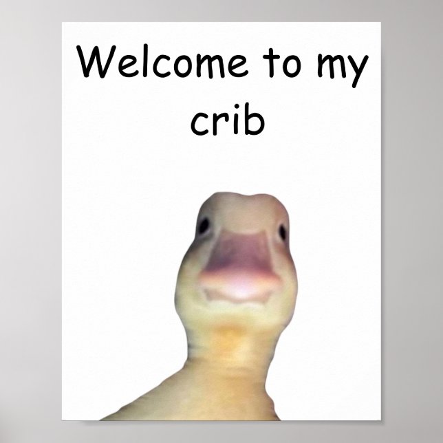 Affiche Funny Duck Meme – “Welcome to My Crib” Cute Animal (Devant)