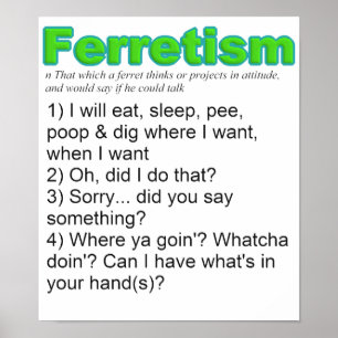 Affiche Funny Ferrets