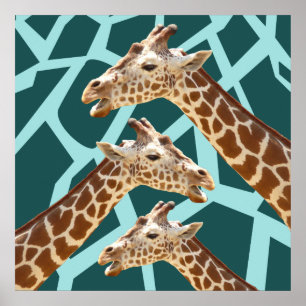 Affiche Funny Giraffe Imprimer Turquoise bleu sauvage Moti