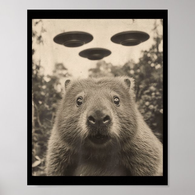 Affiche Funny Groundhog Selfie With Ufos Weird Groundhog  (Devant)