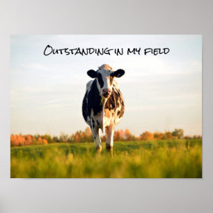 Affiche Funny Heifer Extrait dans mon champ
