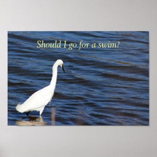 Affiche Funny Heron