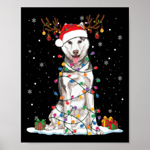 Affiche Funny Husky Chien Tree lumières de Noël Jeu de Noë