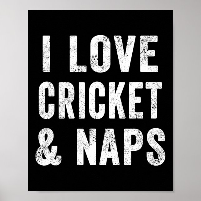 Affiche Funny I Love Cricket And Naps Bearded Cricket Dad  (Devant)