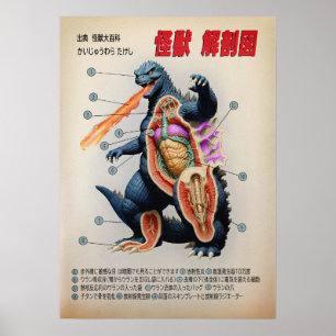 Affiche Funny Japonais Kaiju anatomie diagramme
