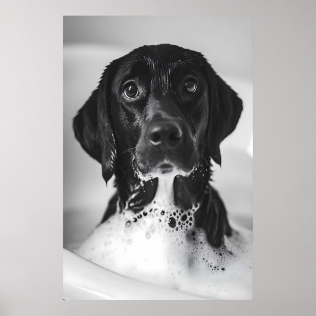 Affiche Funny Labrador Bubble Bath Print, Quirky Bathroom (Devant)