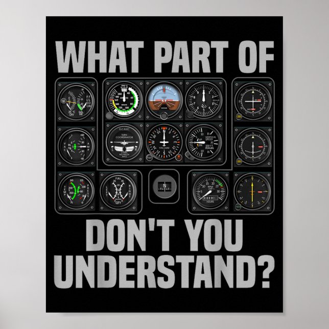 Affiche Funny Lot Design For Men Women Airplane Airline Lo (Devant)