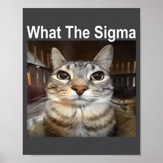 Affiche Funny Meme Cat What The Sigma Cute Cat Meme Quote  (Devant)