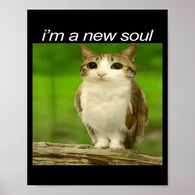 Affiche Funny Meowl Cat Owl Brainrot Cursed Internet Silly (Devant)