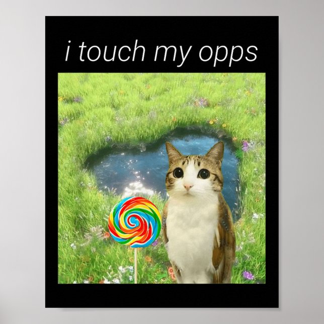 Affiche Funny Meowl Meme, Cat Owl Meme Brainrot Gen Alpha  (Devant)