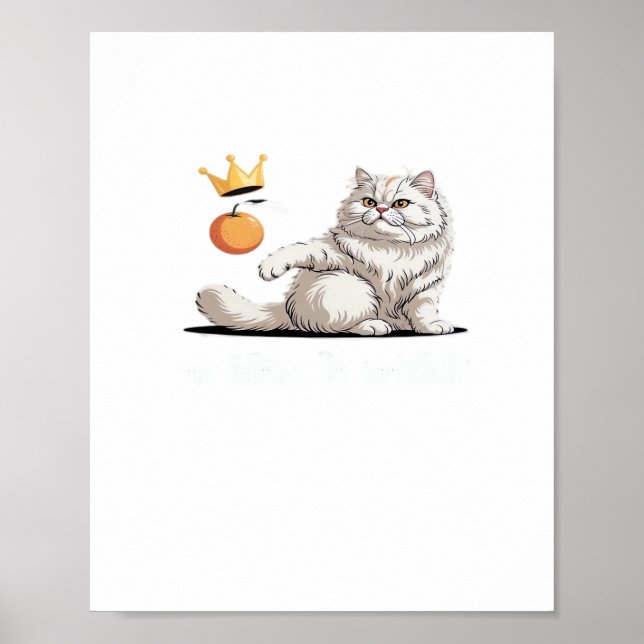 Affiche Funny No Kings In America (Devant)