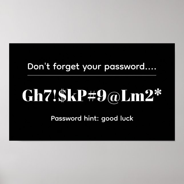 Affiche Funny Password (Devant)