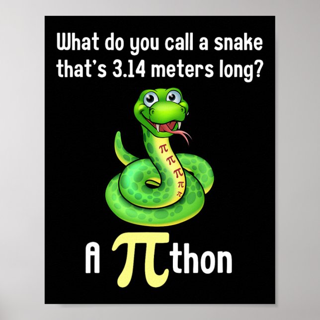 Affiche Funny Pi Day Puns Pithon Mage Professeur plaisante (Devant)