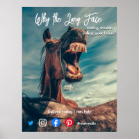 funny real estate postcard long face horse