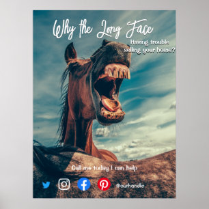 Affiche funny real estate postcard long face horse