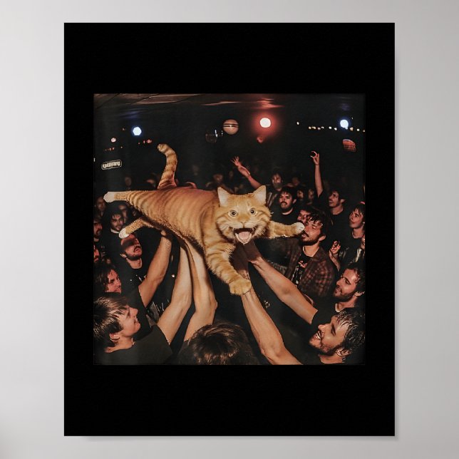 Affiche Funny Rock Show Chat Mème mignonne Tabby Kitten Fo (Devant)