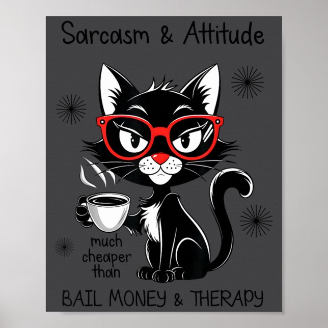 Affiche Funny Sarcastic Rude Sayings Sarcasm And Attitude  (Devant)