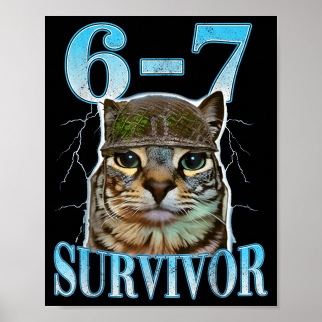 Affiche Funny Saying 67 Cats Tummy Ache Survivor Cat Meme  (Devant)
