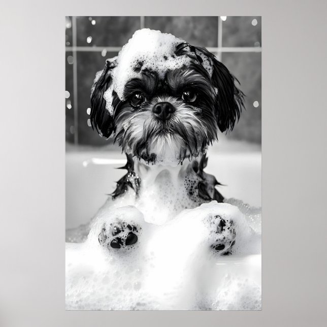 Affiche Funny Shih Tzu Bubble Bath Photograph, Dog (Devant)