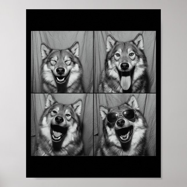Affiche Funny Wolf Photo Booth Sungles Dog  (Devant)