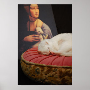 Affiche Furet sur coussin rose II