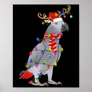 Affiche G Parrot Oiseau lumières de Noël Reindeer Santa Ha