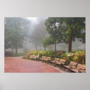 Affiche GA Savannah, Azaleas le long du trottoir en brique