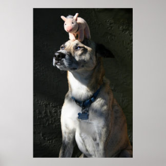 Affiche Gabriel a commandé du bacon pour le petit déjeuner