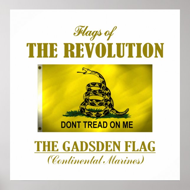 Affiche Gadsden Flag (FR) (Devant)