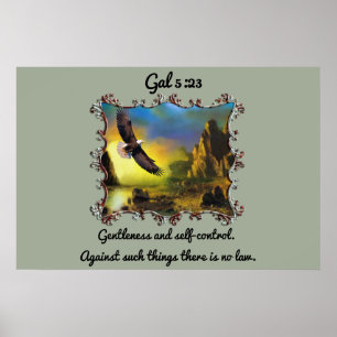 Affiche Gal 5:23 Douceur et maîtrise de soi