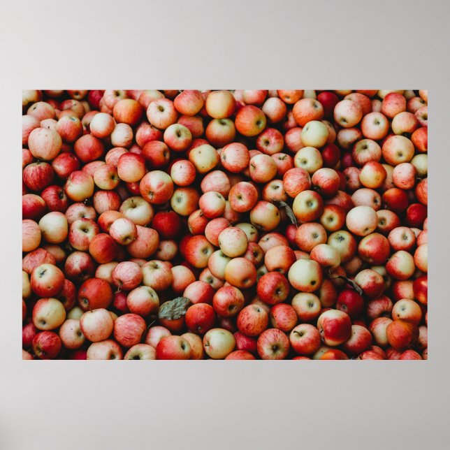 AFFICHE GALA POMMES (Devant)