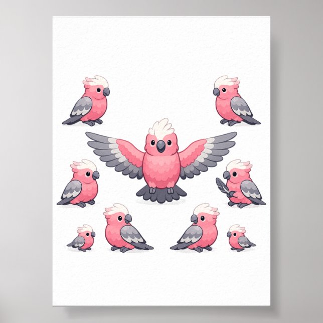 Affiche Galah Cacatoès Motif Rose Perroquet Drôle Oiseau (Devant)