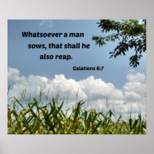 Affiche Galations 6:7 Tout ce qu'un homme soweth...
