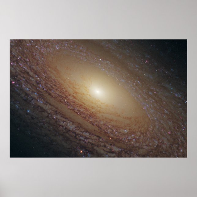 Affiche Galaxie Spirale Ngc 2841 (Devant)