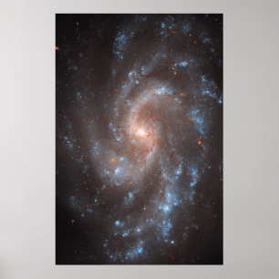 Affiche Galaxie Spirale Ngc 5584