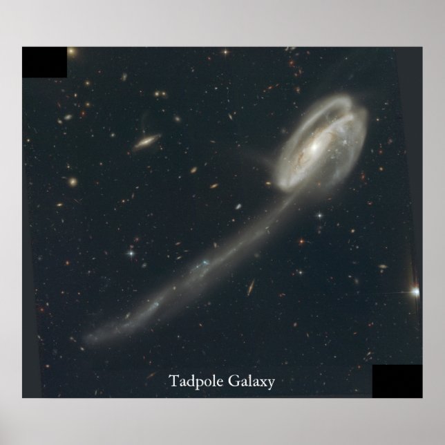Affiche Galaxie Tadpole (Devant)
