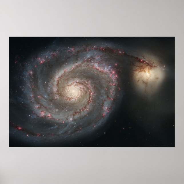 Affiche Galaxie Whirlpool M51+Galaxie Companion 36x24 (39x (Devant)