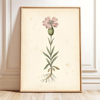 Affiche Galerie d'impression murale botanique vintage