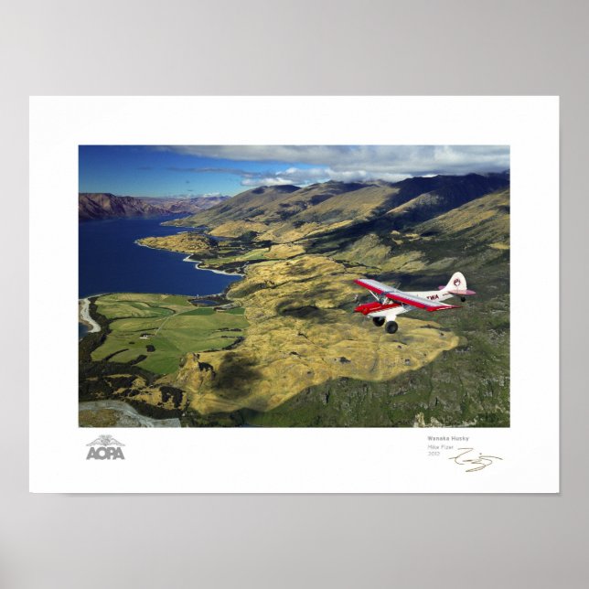 Affiche Galerie Wanaka Husky (Devant)